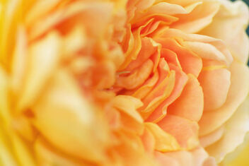 Bright - Free image #474917